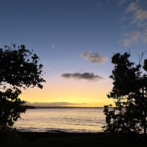 Los Últimos Pero Llegamos